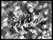 2203116700046342459qZUXXz_fs