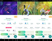 Polish 20260217 131432498