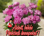 https://i.postimg.cc/t1BtQQqT/FB-IMG-1685197134495.jpg