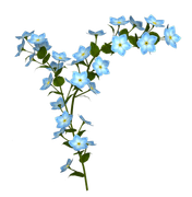 april-showers-SD-38