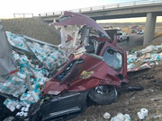 [Image: IMG-6064.jpg]