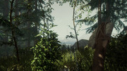 the-forest-2