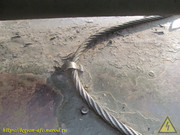 IMG-0111