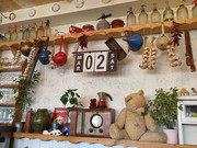 IMG-20190302-094251