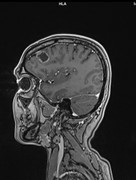 EEA15CC3-834A-4566-928B-5C2222D8BEB0