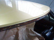 DSC08043.jpg