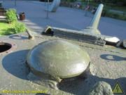 IMG-5553