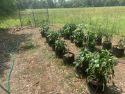 2760FD89-2953-40D5-904F-76926703221D