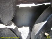 IMG-5493