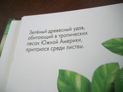 https://i.postimg.cc/t1RpKY8s/100-8574.jpg