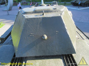 IMG-5541