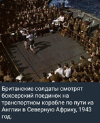 https://i.postimg.cc/t1WbpYJq/photo-2026-06-27-07-32-25.jpg