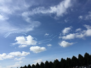 IMG-2830.jpg