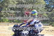 IMG-3060