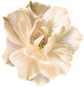 BIBI-PINK-ANGEL-ELEMS-98