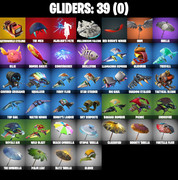 gliders-comp