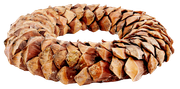 Country-Christmas-Kit-67