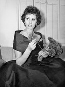 sophia-loren-513