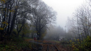S9960027