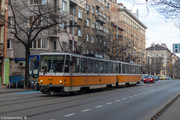 IMG-5376