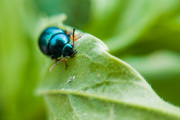 IMG-20190424-112516