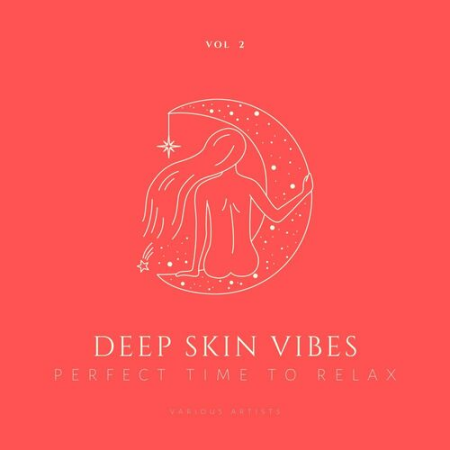 VA - Deep Skin Vibes (Perfect Time To Relax) Vol.2 (2022)