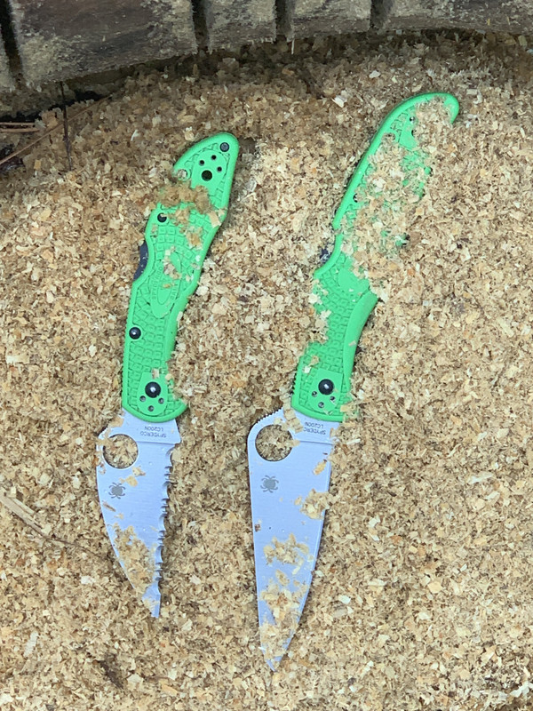 FB0DFAD7-1BBC-4281-A233-3702574E7108