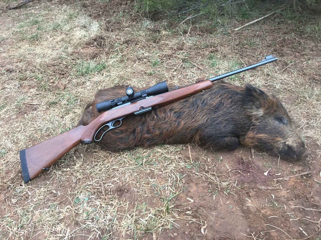 125F1082-463D-4121-AF3E-580789501082