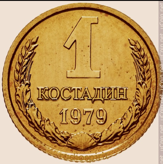 kotse.png