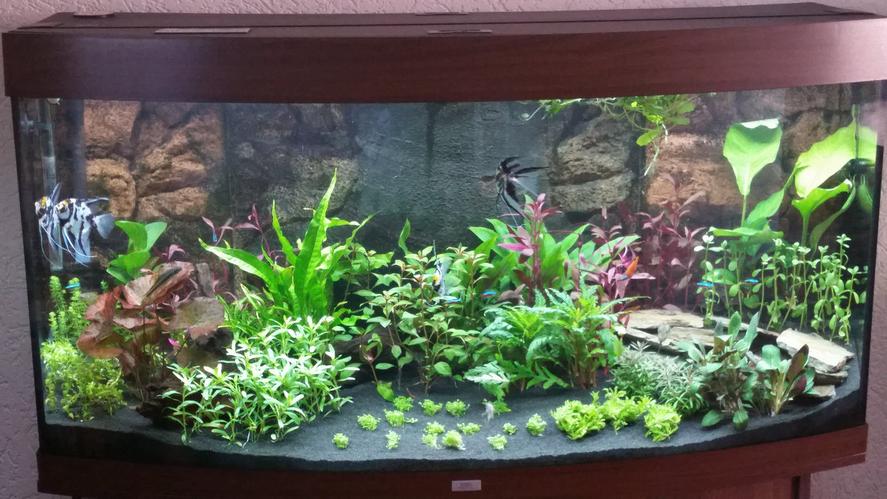 PHOTO_20161020_104550[1]