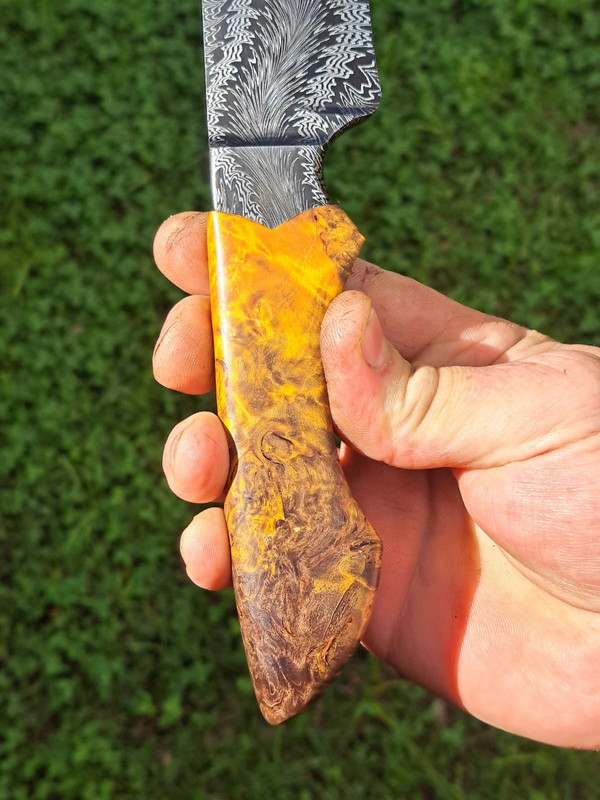 WhatsApp Image 2025-03-12 at 16.42.23 (1)