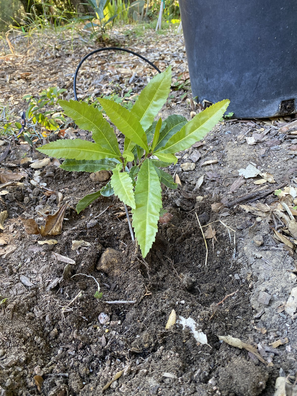 E54103BA-7271-4ED0-8095-7FFE98566737