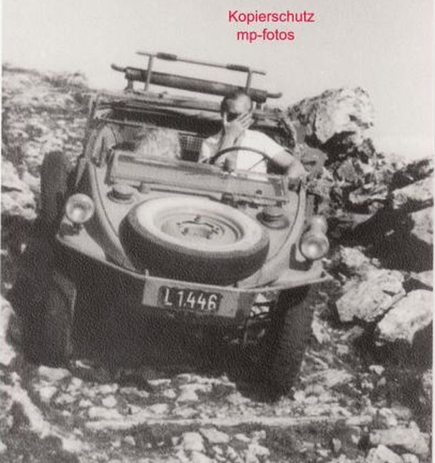 Tagw7ESQ4rlj142135338736P8034