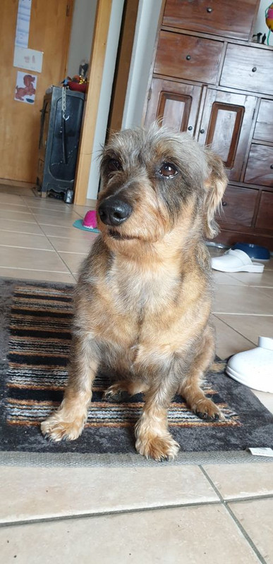 [Image: 183096371-132578698863161-5430354342491905389-n.jpg]