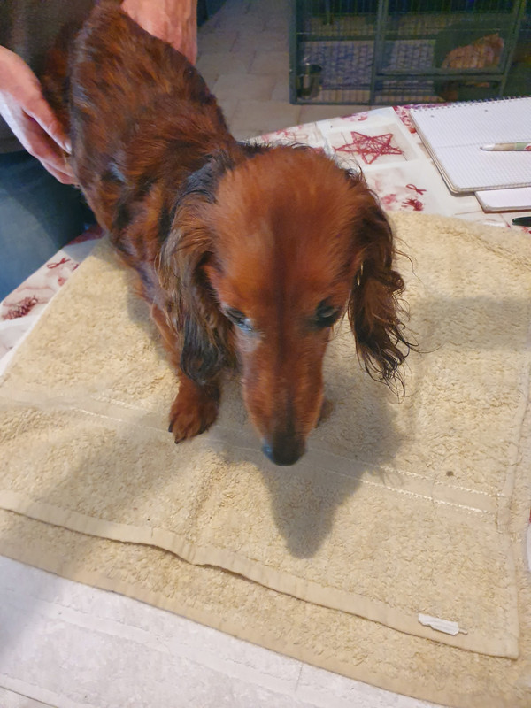 [Image: 20220615-160732.jpg]