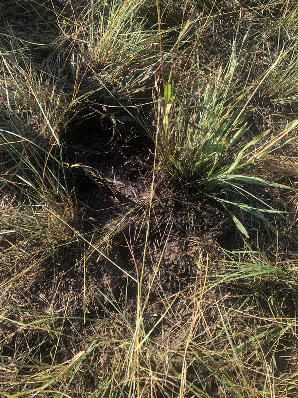 3UhDSLVHQqyCHEgxtU16WQ