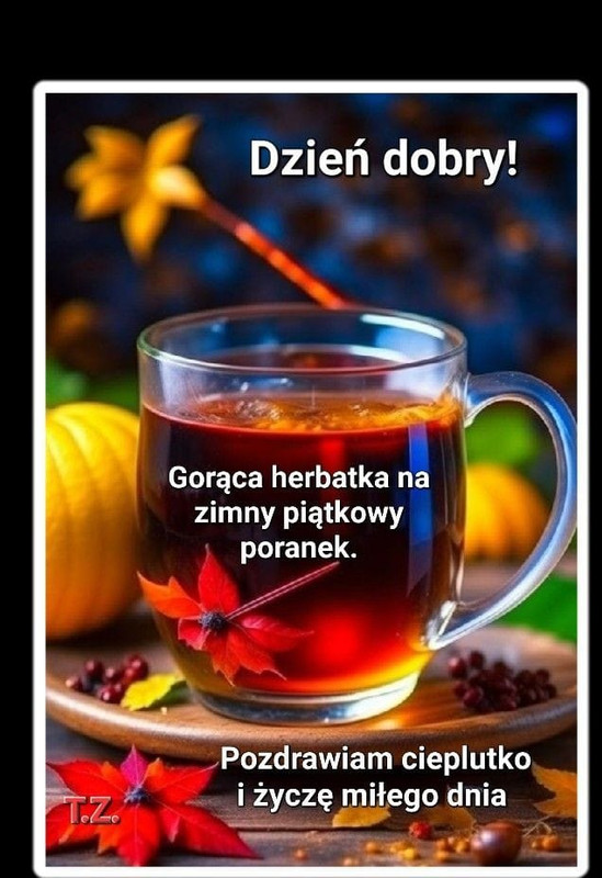 https://i.postimg.cc/t418J4N6/405100473-2053287271699196-6717632368474825597-n.jpg