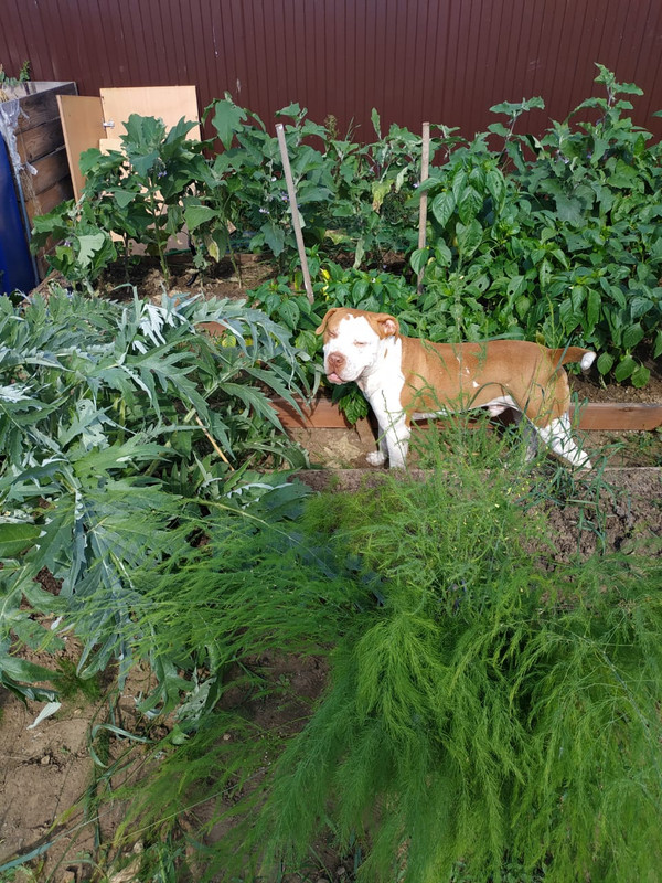 D7A97FF1-9ED8-4481-B972-51EA1E8D067B