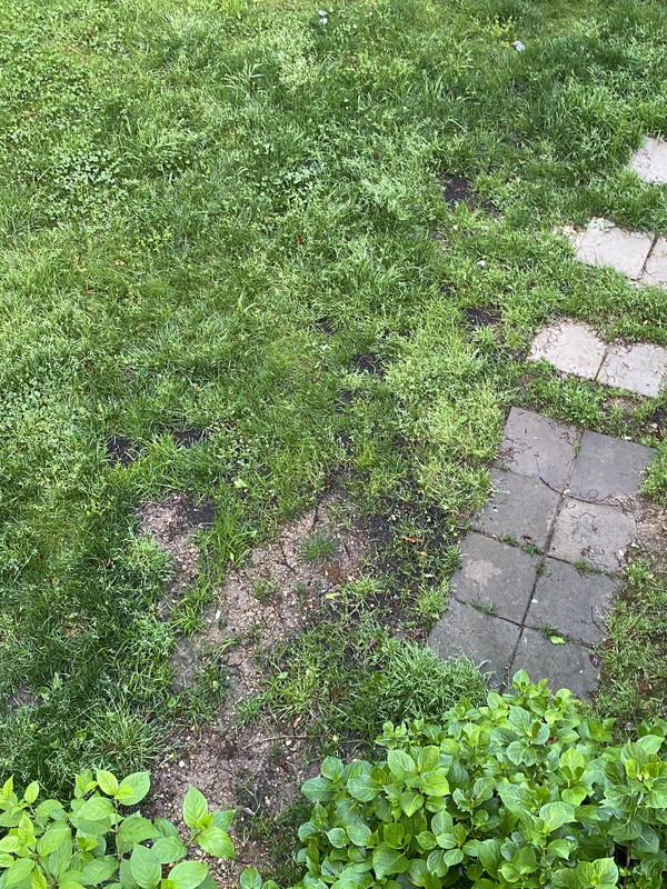 73E847D9-43A9-4D4C-8AAF-DDC48D9F33CB