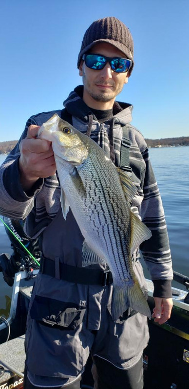 AA672F68-80D4-418D-9AD5-E88553C6FDBA