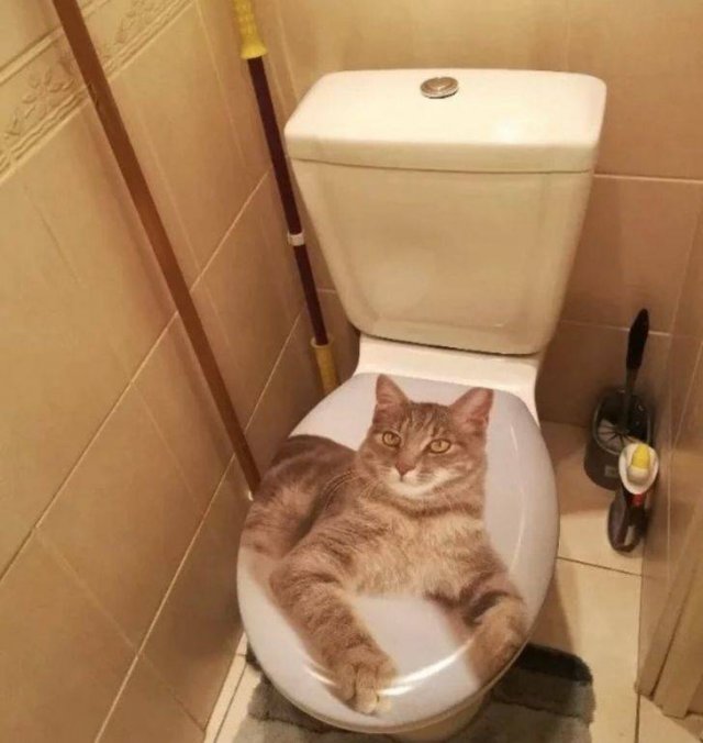 Bad-Designs-1
