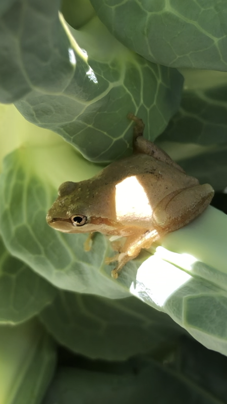 B356988E-51DC-41D9-AA36-FC0251DD3EF4