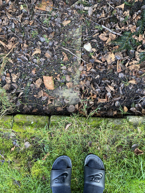 8616AC09-F8F1-41B4-8640-945F16441F35