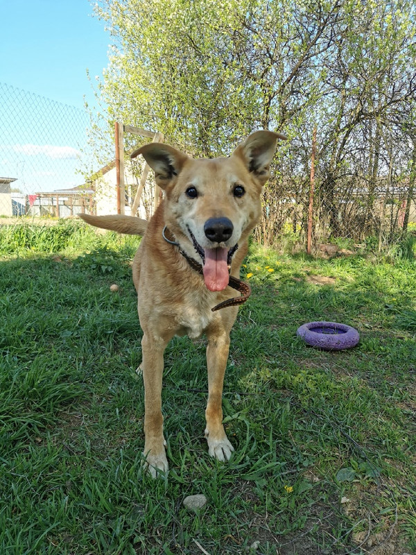 VdVRRvnA3XHbJi9seYjzxQGlS48oeHhtWtJ2PpaV0k7q1O4h684Z1vbJz9fqMlEcCtBy8uNvnEDAktQClhRCG8XS