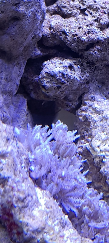 изображение_viber_2020-09-30_13-17-44