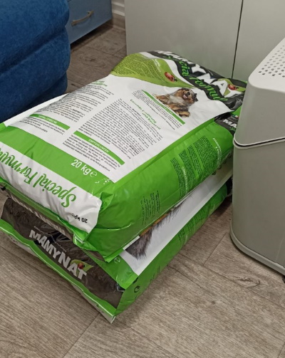 ������ ������ ��� ��������