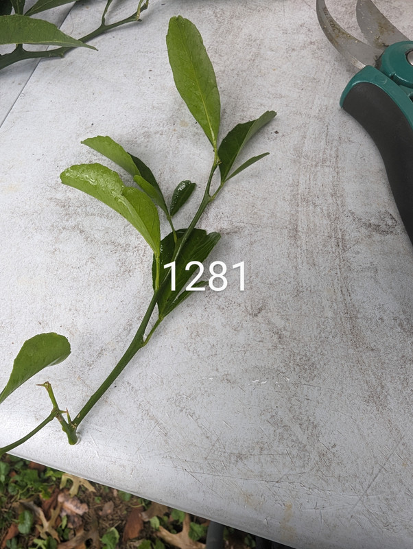 PXL_20230816_164613397~3