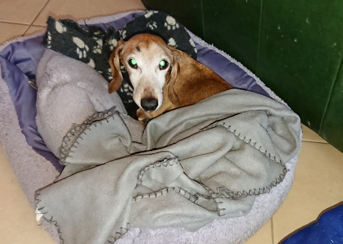 [Image: 20250125-155655.jpg]