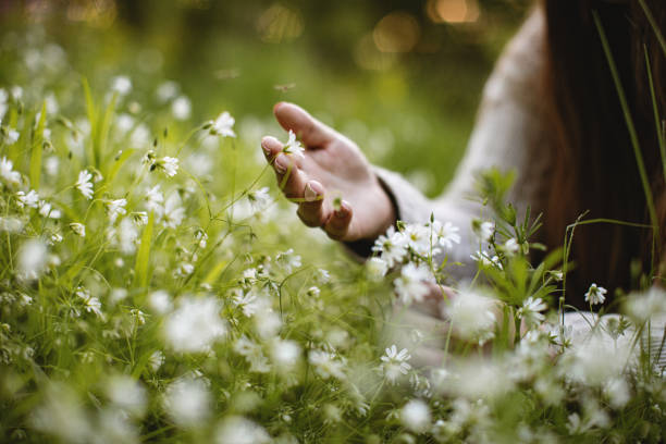 istockphoto-1486864667-612x612.jpg