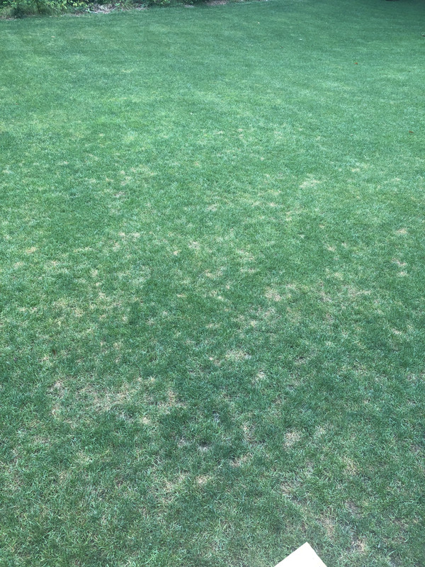 59CD3DB3-20CC-48CB-A2A8-E8DC000D62D4